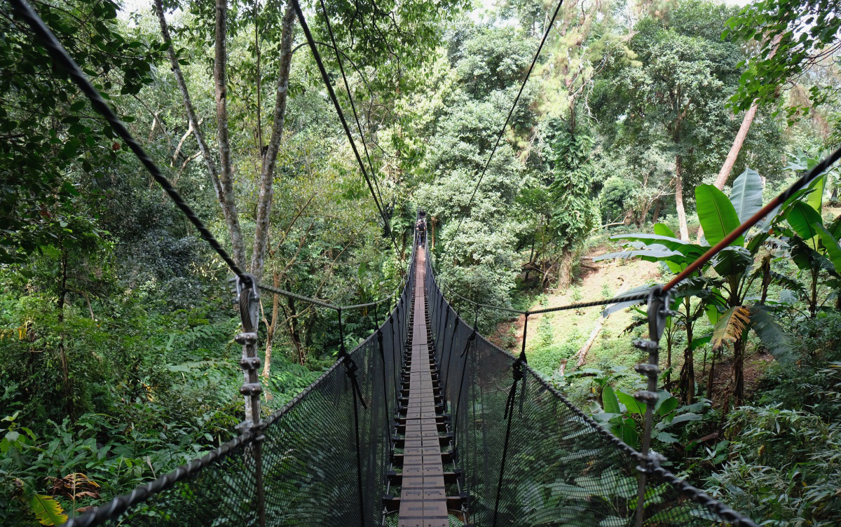 tantawandoitung-tree-top-walk-at-chiang-rai